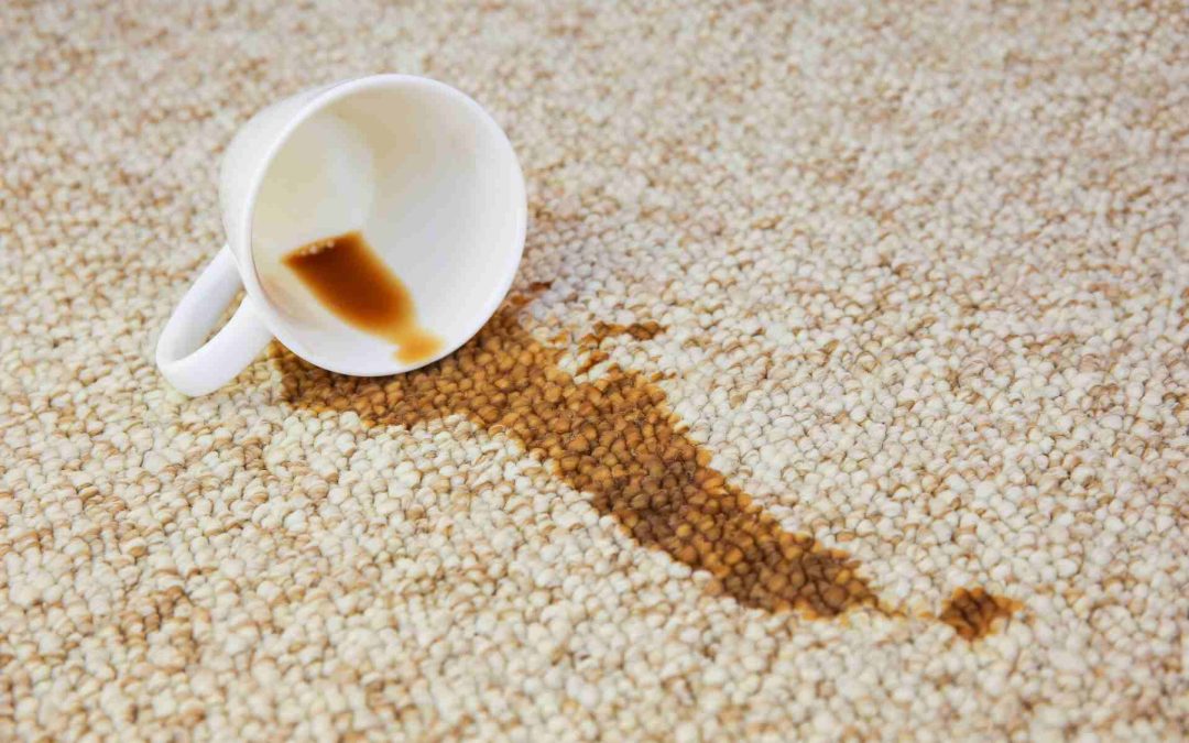 Common Carpet Cleaning Mistakes You Must Avoid